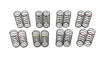 BIG BORE SPRING SET: 45mm LEN