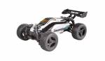 Buggy twenty4 B V2.0 - 4WD RTR Modellauto, silber/rote Karosserie